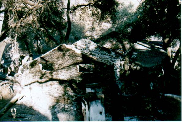 cabin0019